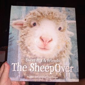 🐑The SheepOver Book
